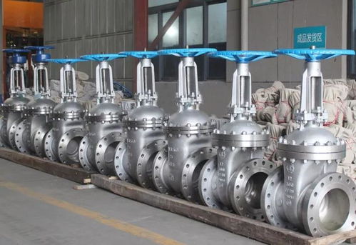 良工閥門集團 高端不銹鋼閥門系列產(chǎn)品的卓越制造商