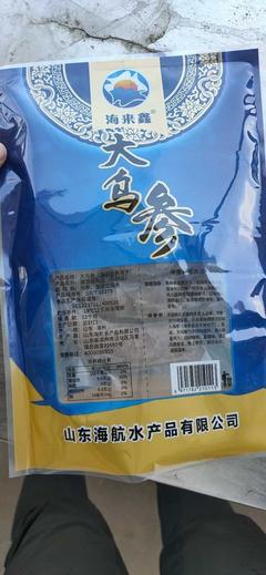 山東濱州沾化區即食海參批發 高品質水產品，4.50元/袋實惠選