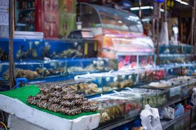 十萬“水軍”晝夜不息的傳奇謝幕 全國(guó)最大水產(chǎn)品批發(fā)市場(chǎng)的搬遷與日用百貨銷售的轉(zhuǎn)型