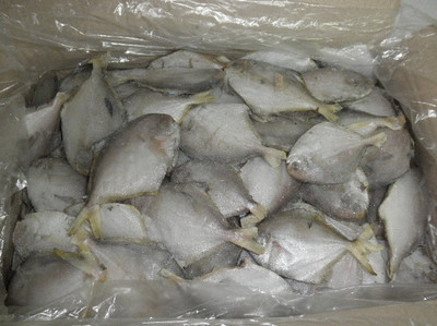 黑龍江水產(chǎn)品批發(fā)與加盟指南 聚焦哈爾濱暢達(dá)水產(chǎn)的產(chǎn)業(yè)優(yōu)勢(shì)