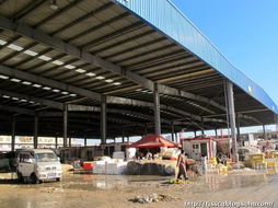 春節前的水產品農貿批發市場 年味、忙碌與希望的匯聚地