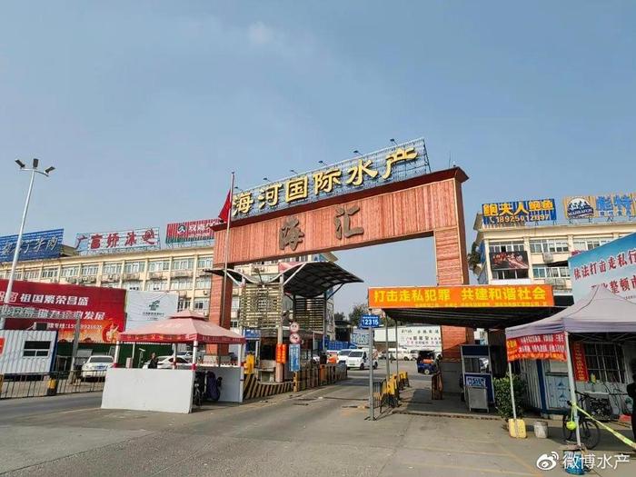 加拿大北極蝦，新鮮直供廣州海河水產批發市場